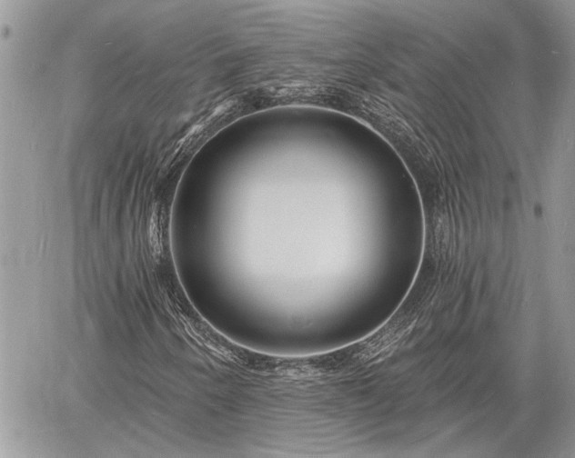 X0000060741250200511171048