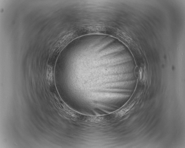 X0000060741251200511171048