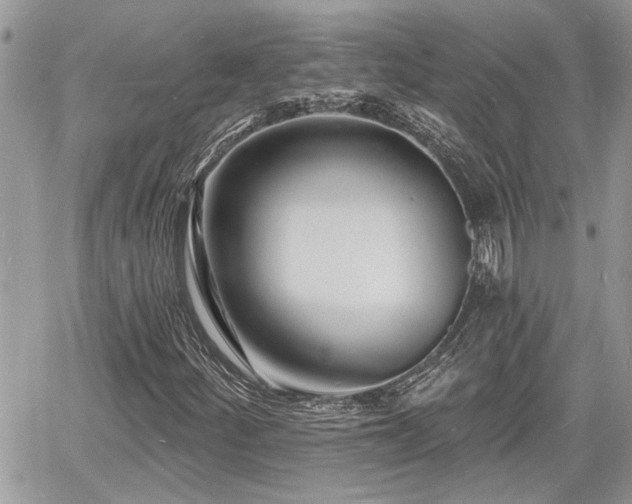 X0000060741252200511171048