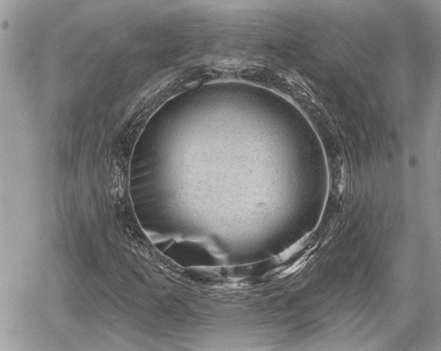 X0000060741253200511171048