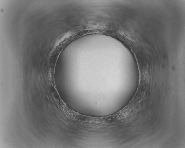 X0000060741254200511171048