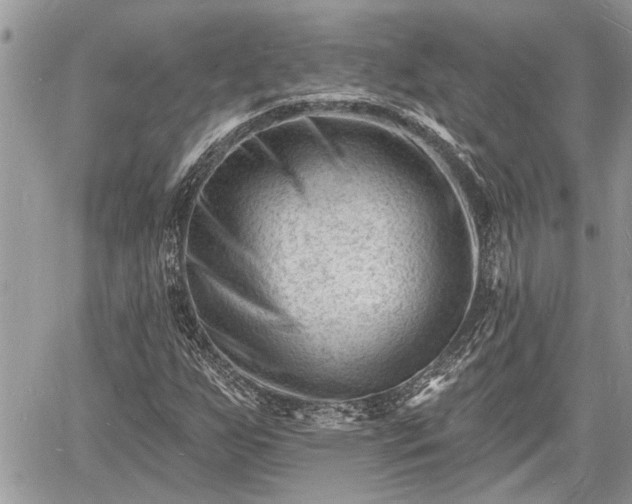 X0000060741255200511171048