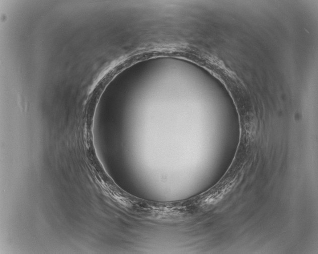 X0000060741256200511171048