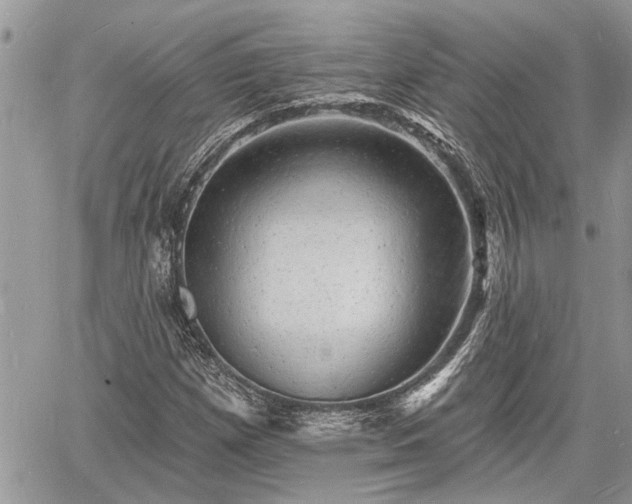 X0000060741257200511171048