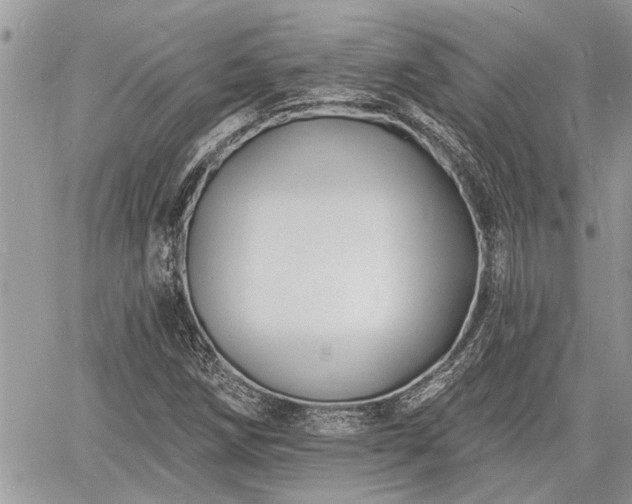 X0000060741258200511171048