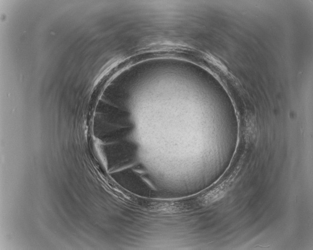 X0000060741259200511171048