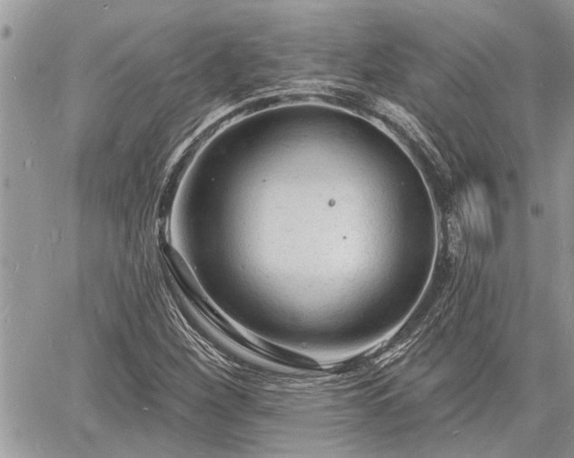 X0000060741260200511171048