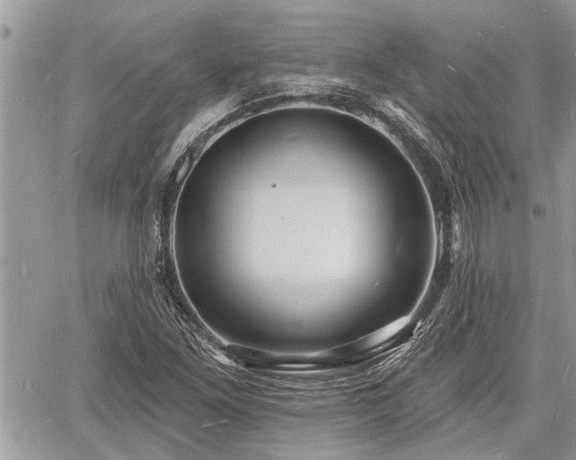 X0000060741261200511171048