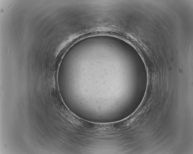 X0000060741262200511171048