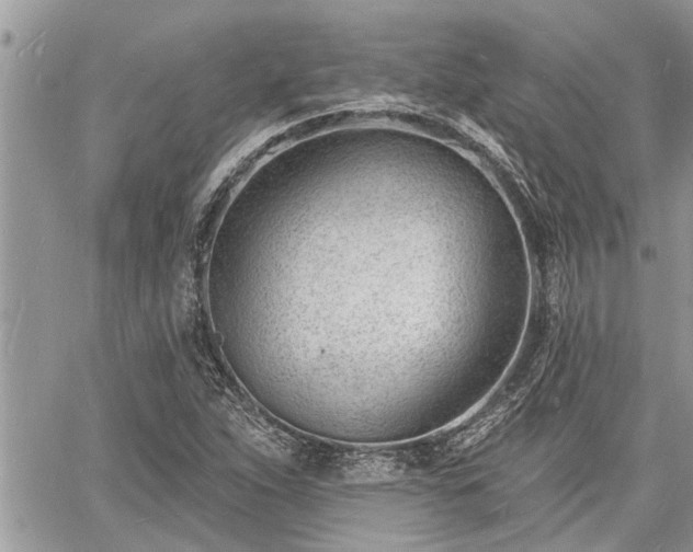 X0000060741263200511171048