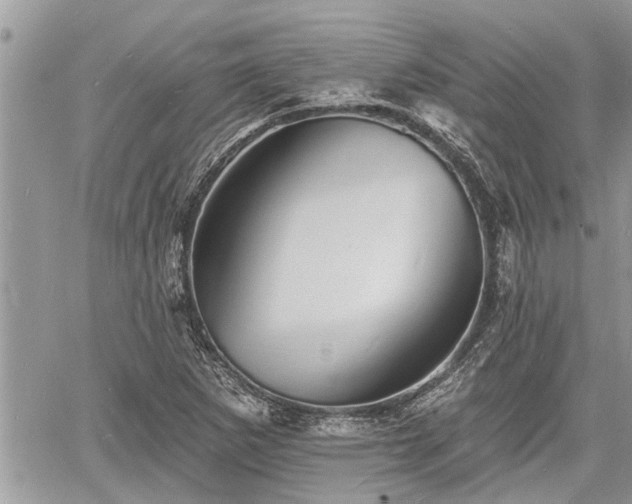 X0000060741265200511171048