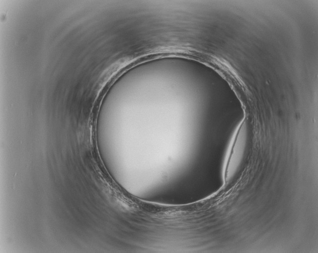 X0000060741268200511171048