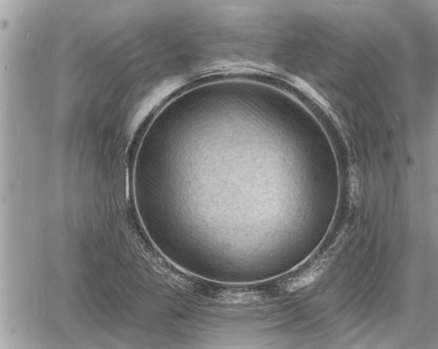 X0000060741269200511171048