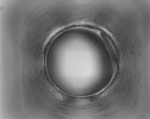 X0000060741270200511171048