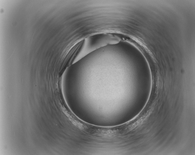 X0000060741273200511171048