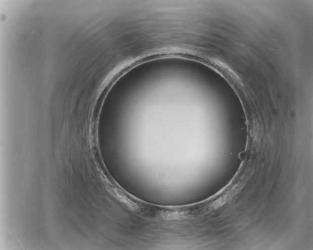 X0000060741278200511171048