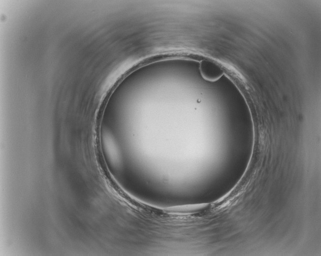 X0000060741279200511171048