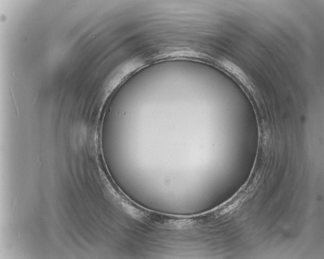 X0000060741282200511171048