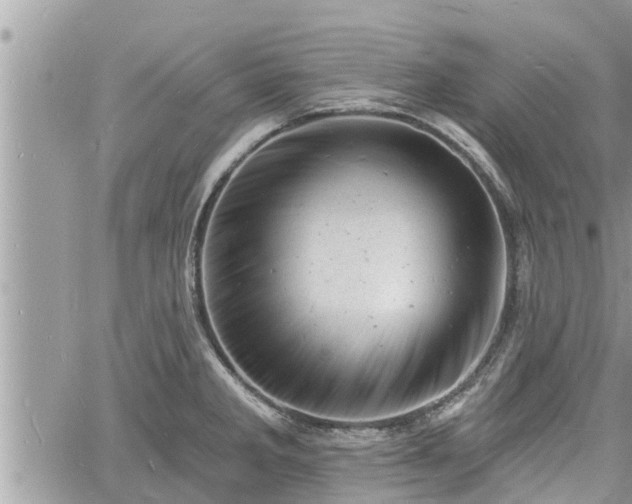 X0000060741285200511171048