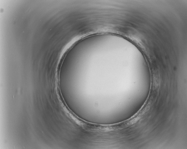 X0000060741286200511171048