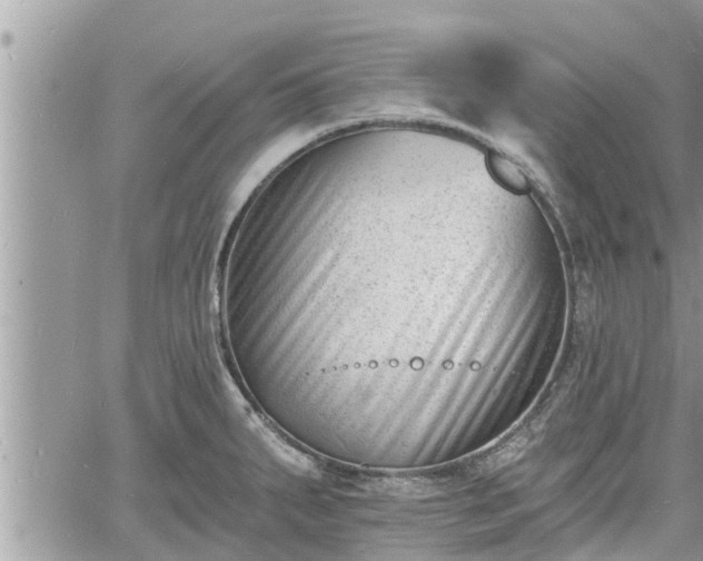 X0000060741287200511171048