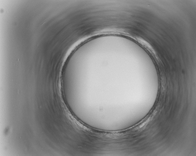 X0000060741288200511171048