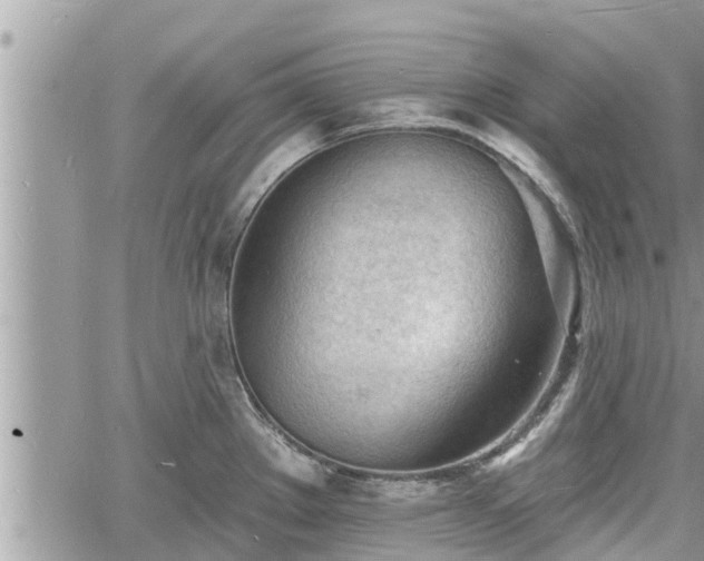 X0000060741289200511171048