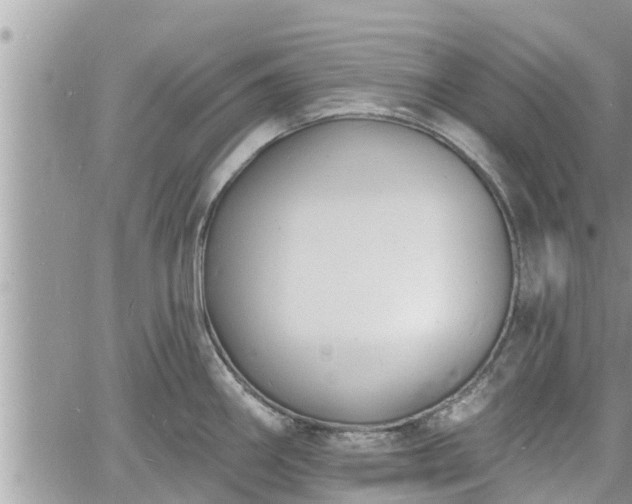 X0000060741290200511171048