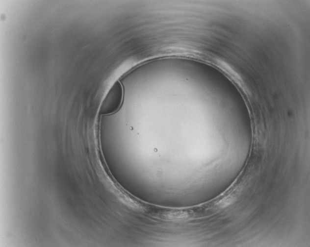 X0000060741291200511171048