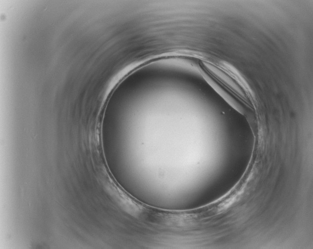 X0000060741292200511171048