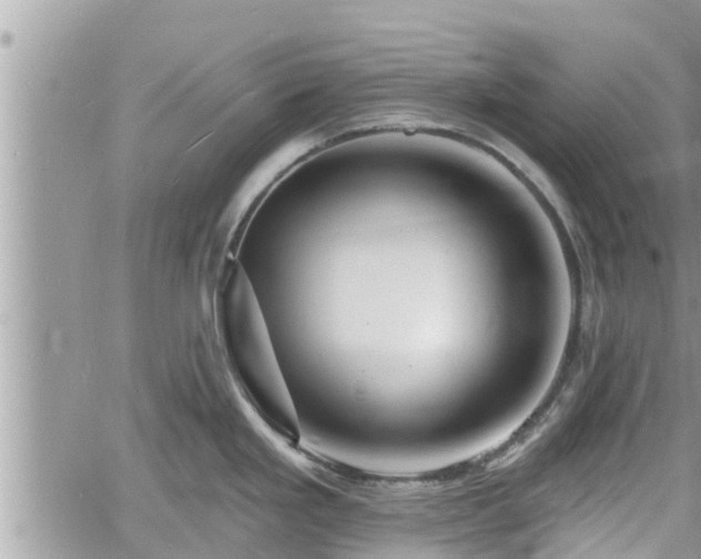 X0000060741293200511171048