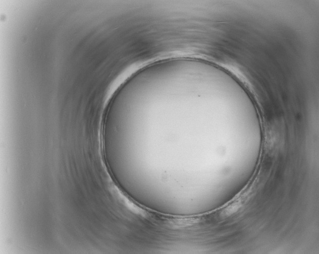 X0000060741294200511171048