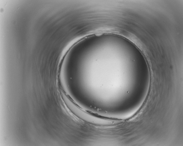 X0000060741296200511171047