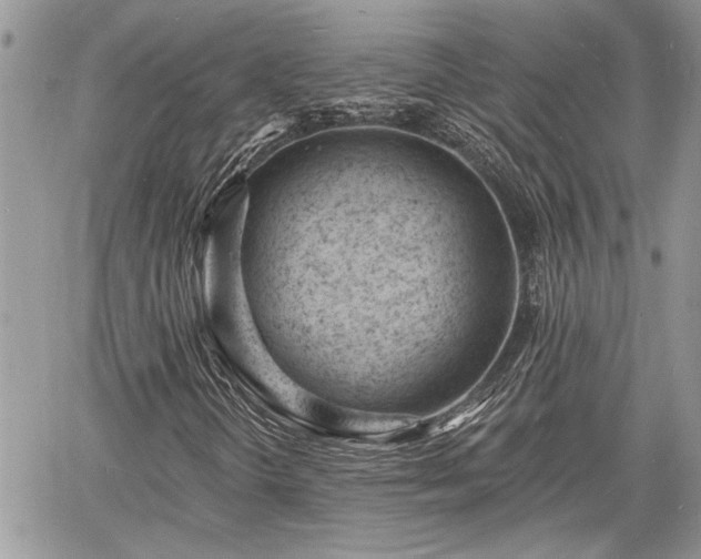 X0000060741298200511171047