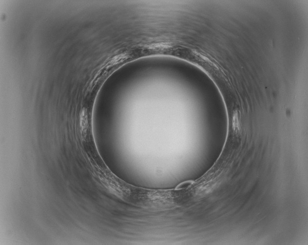 X0000060741299200511171047