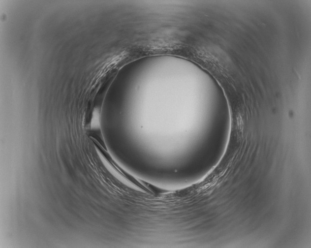 X0000060741300200511171047