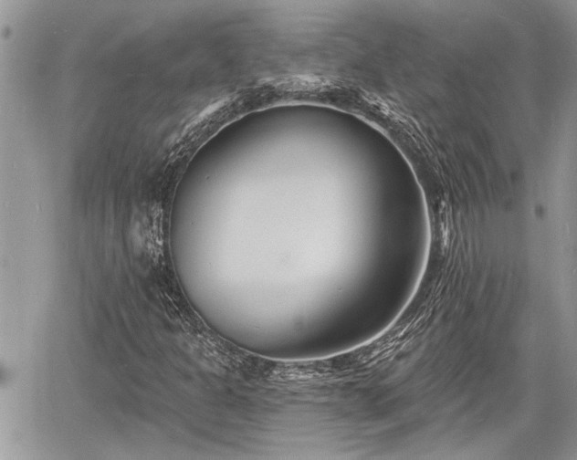 X0000060741301200511171047