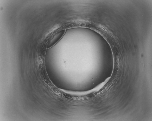 X0000060741302200511171047