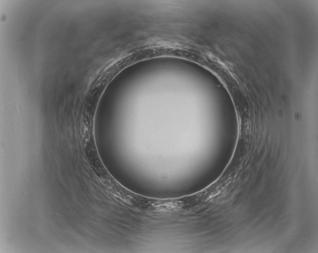 X0000060741303200511171047