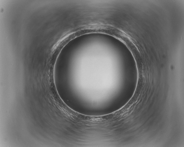 X0000060741304200511171047