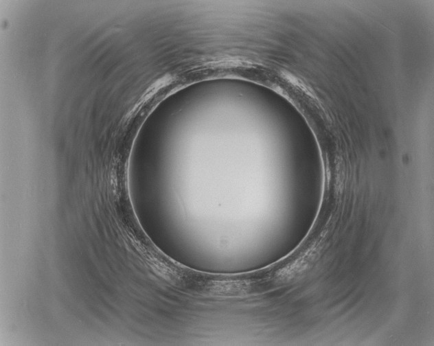 X0000060741305200511171047