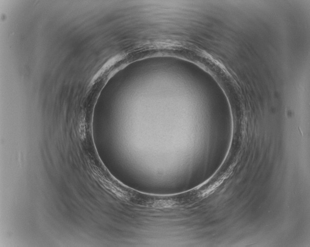 X0000060741306200511171047