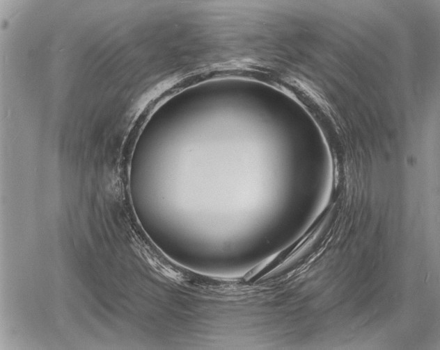 X0000060741308200511171047