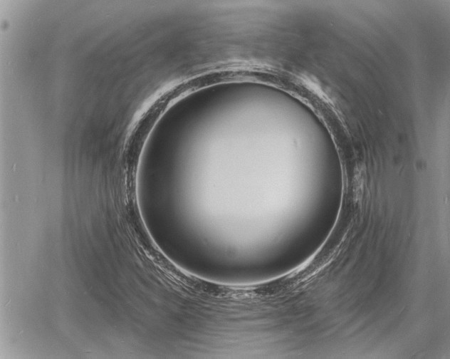 X0000060741310200511171047