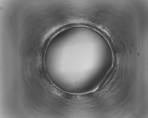 X0000060741311200511171047