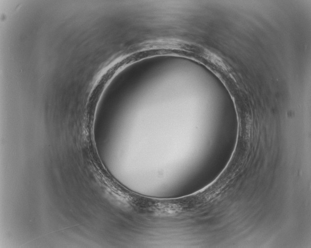 X0000060741312200511171047