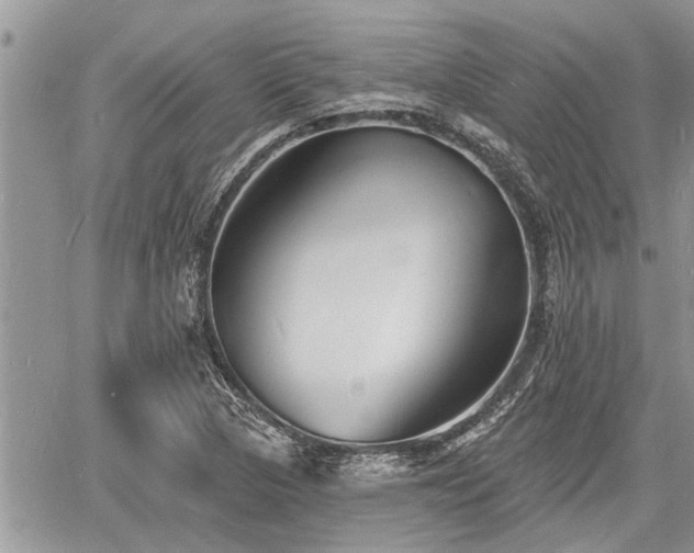 X0000060741313200511171047