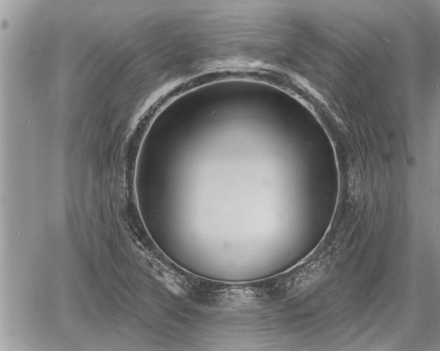 X0000060741315200511171047