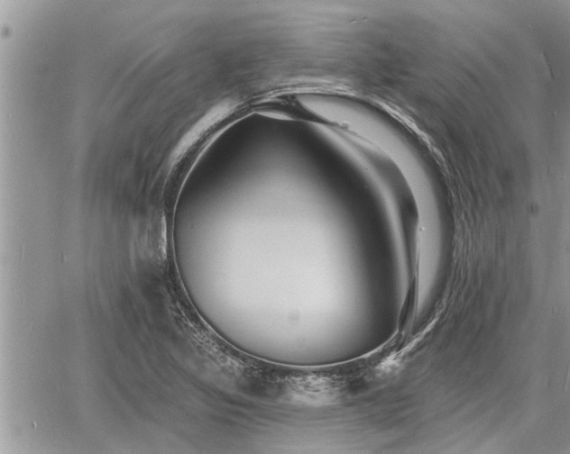 X0000060741317200511171047