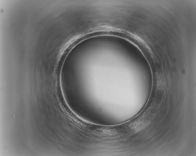 X0000060741318200511171047